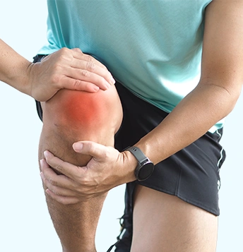 Arthritis Model