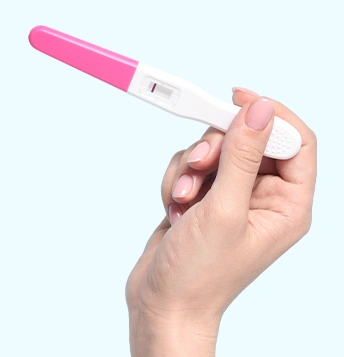 Infertility Model