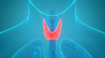 thyroid