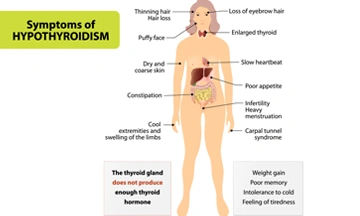 thyroid