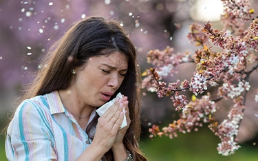 Treating Pollen Allergies With Homeopathy