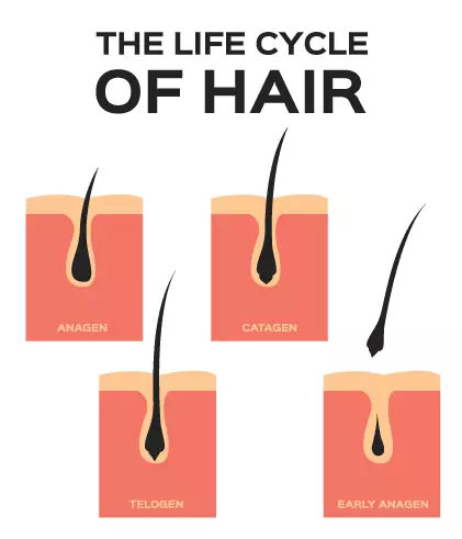 How do the monsoons affect hair care? - Dr Batra's