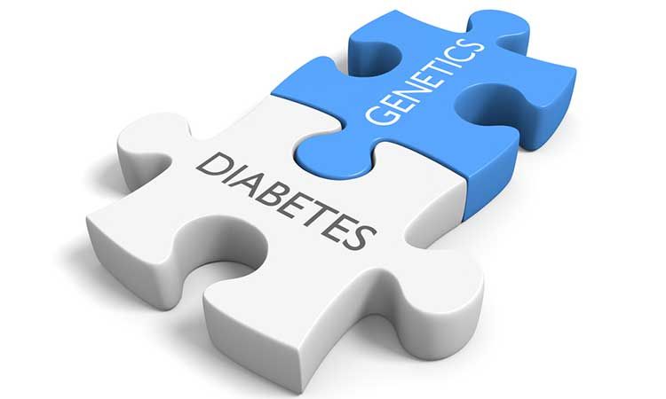 Genetics & diabetes: Are you at risk?