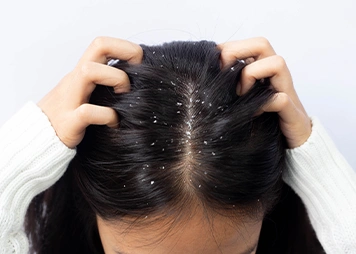 Slide 6