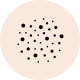 Dust Mites