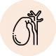 Gallbladder