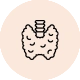Inflammation of the thyroid - Thyroiditis
