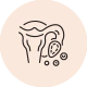 Ovulation and Egg Quality Issues