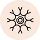 Nerve Sensitivity